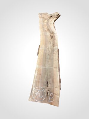 Ořech vlašský 50/52 mm - 70