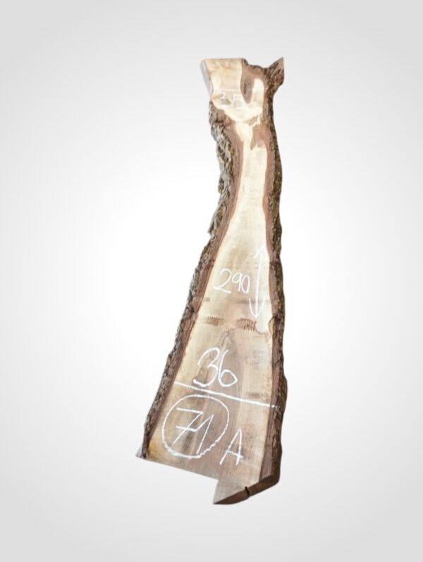 Ořech vlašský 50/52 mm - 71