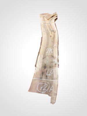 Ořech vlašský 50/52 mm - 72