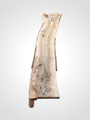 Ořech vlašský 50/52 mm - 72