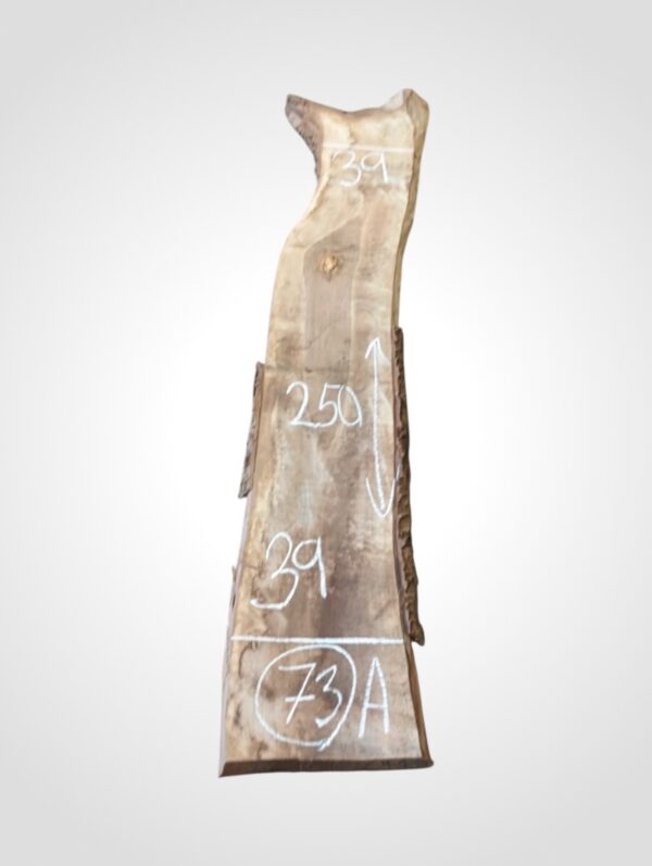 Ořech vlašský 50/52 mm - 73