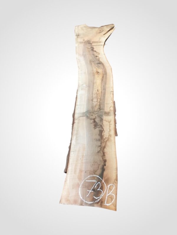 Ořech vlašský 50/52 mm - 73