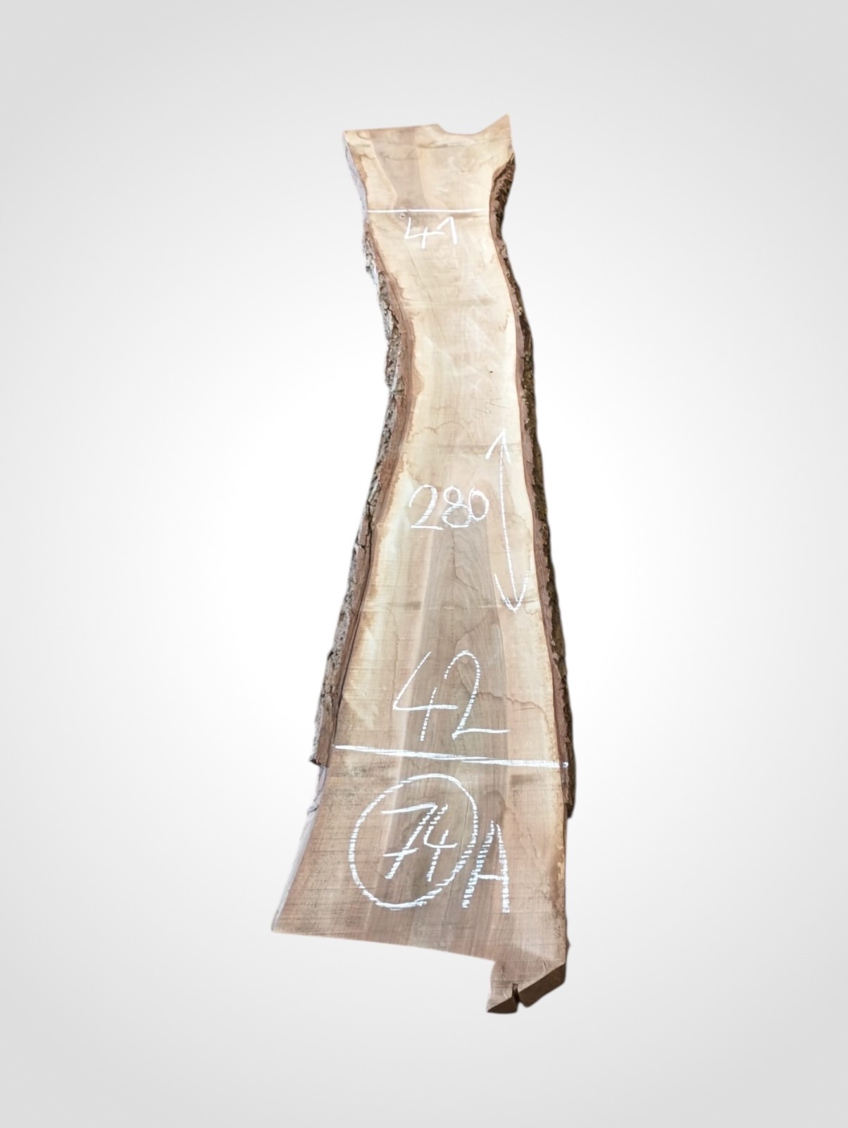 Orech-vlassky-52-74a Ořech vlašský 50/52 mm - 74