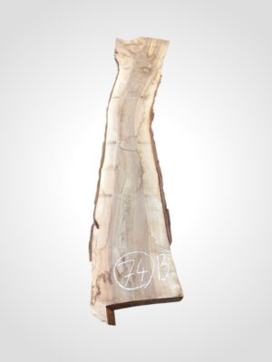 Ořech vlašský 50/52 mm - 74