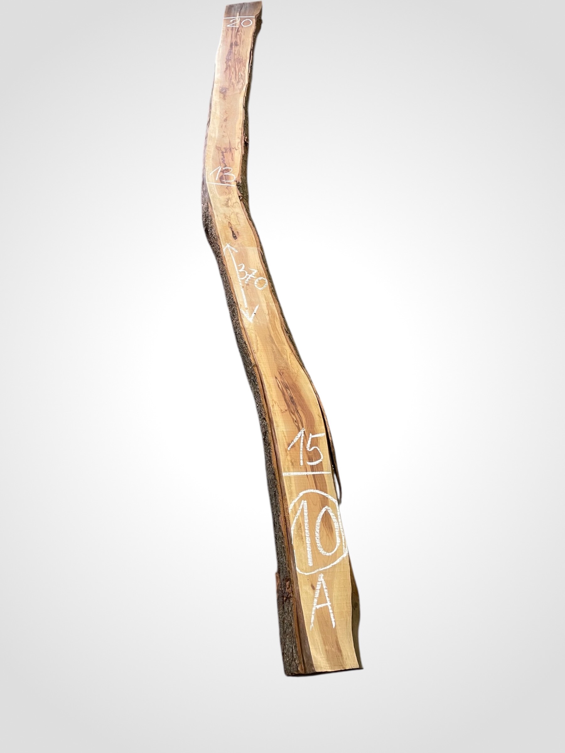 Švestka 50/52 mm - 10