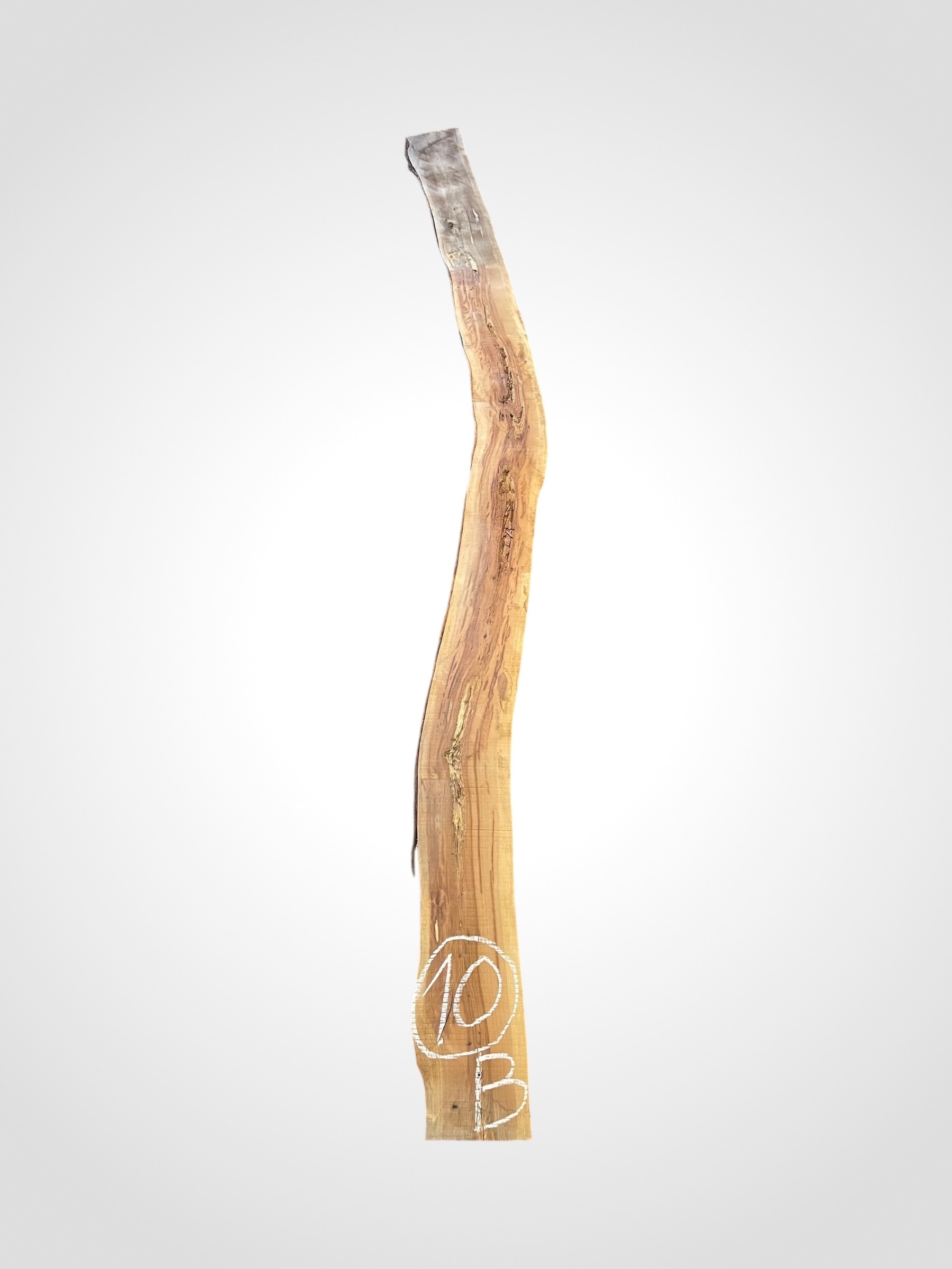 Švestka 50/52 mm - 10