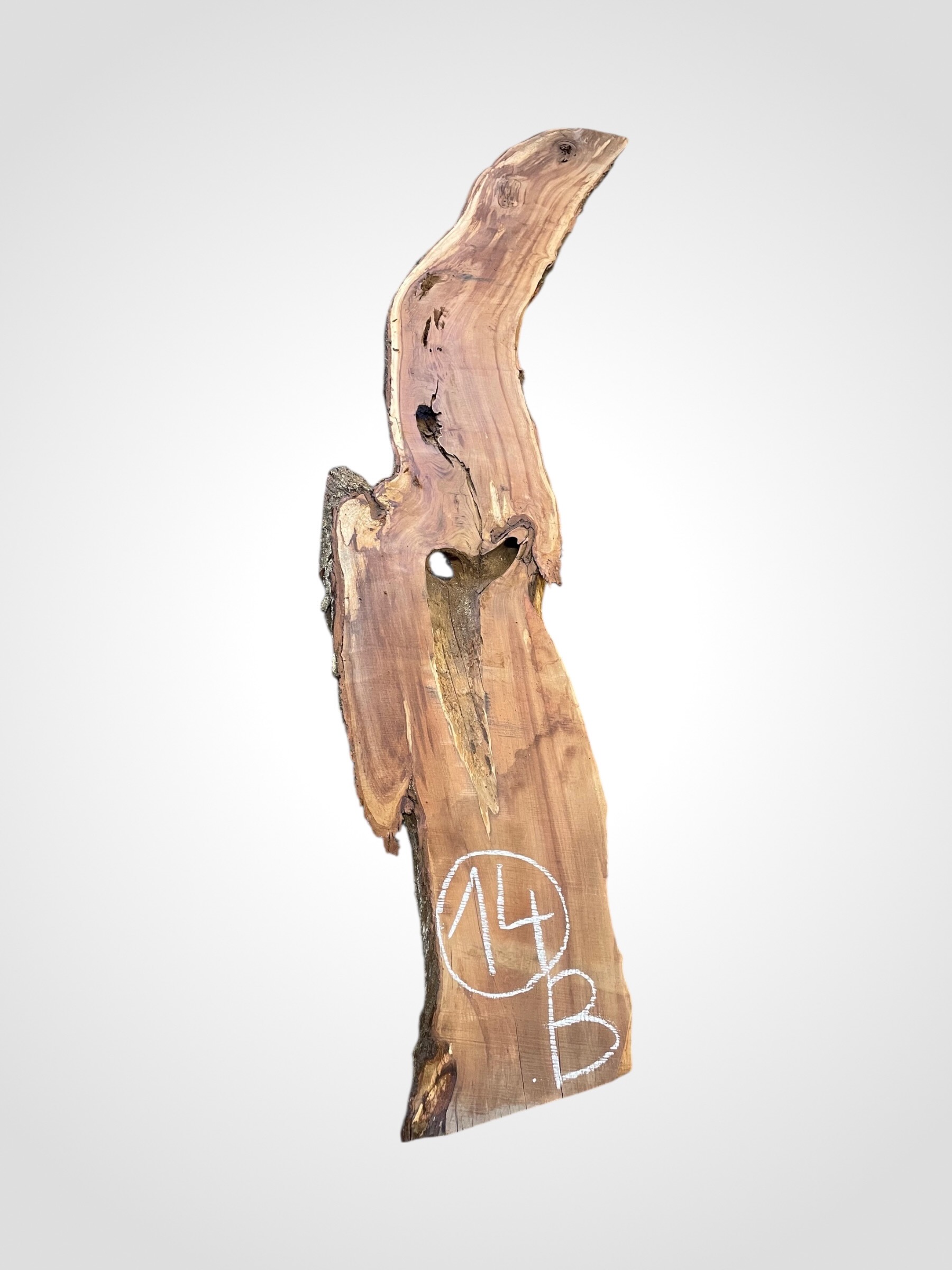 Švestka 50/52 mm - 14