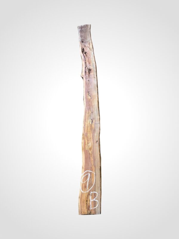 Švestka 50/52 mm - 9