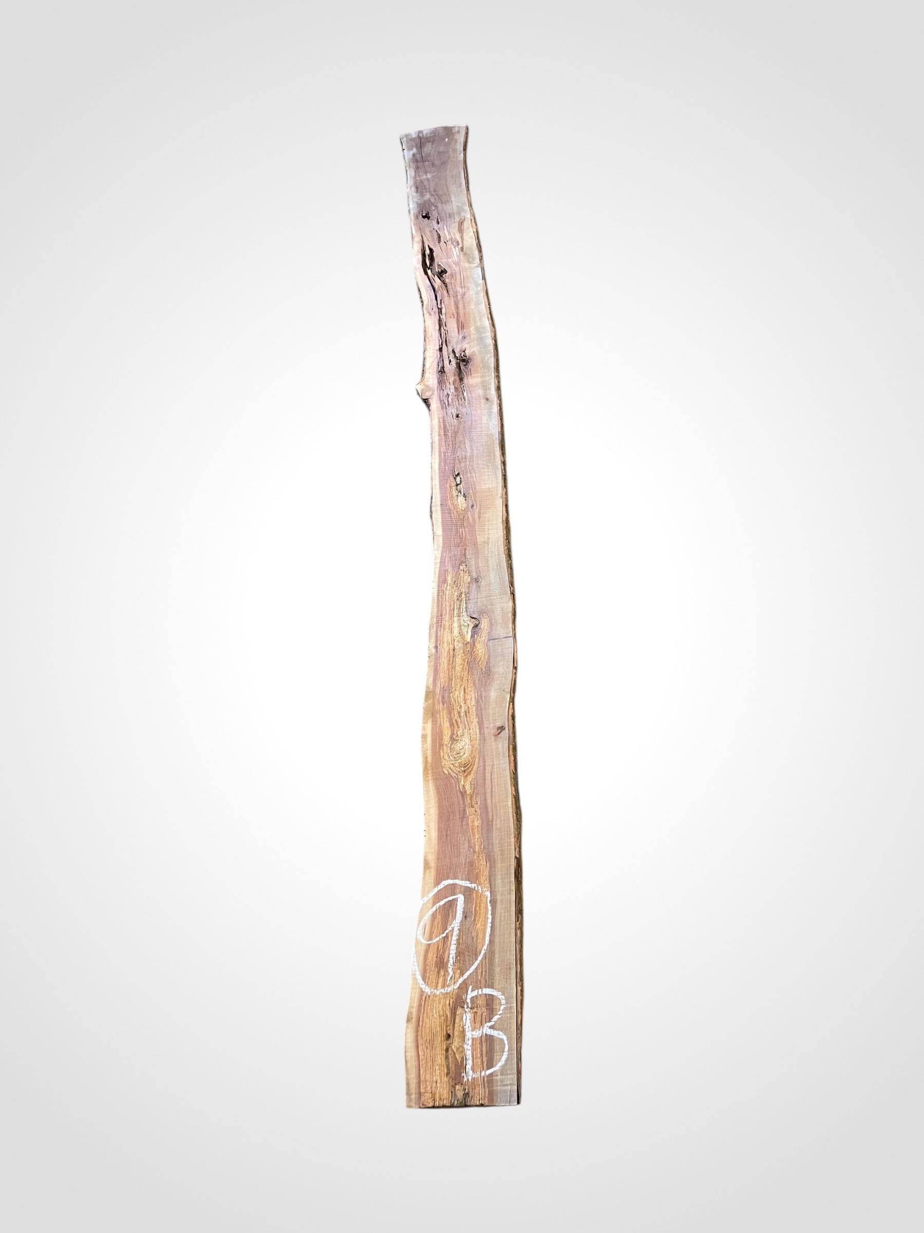 Švestka 50/52 mm - 9