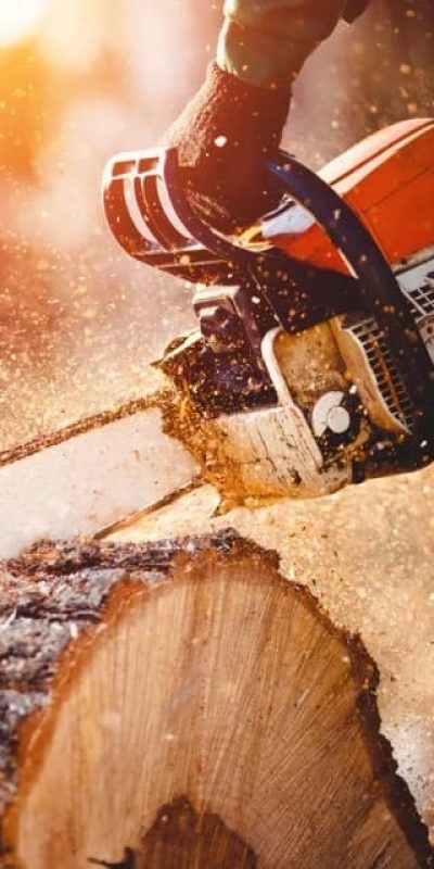 tools-img-saw-2.jpg tools-img-saw-2.jpg